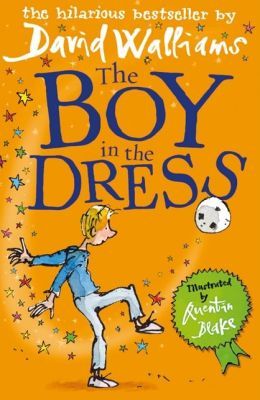 The Boy In The Dress cover - Stoomio